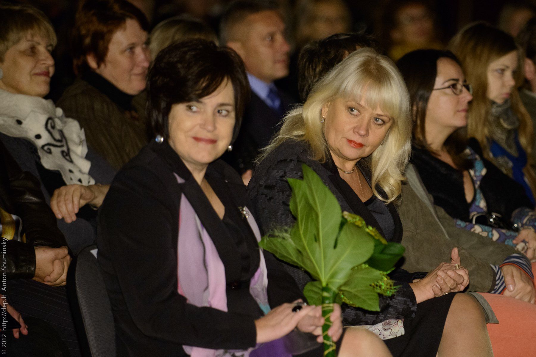 VII „Atspindys“, 2012 m.