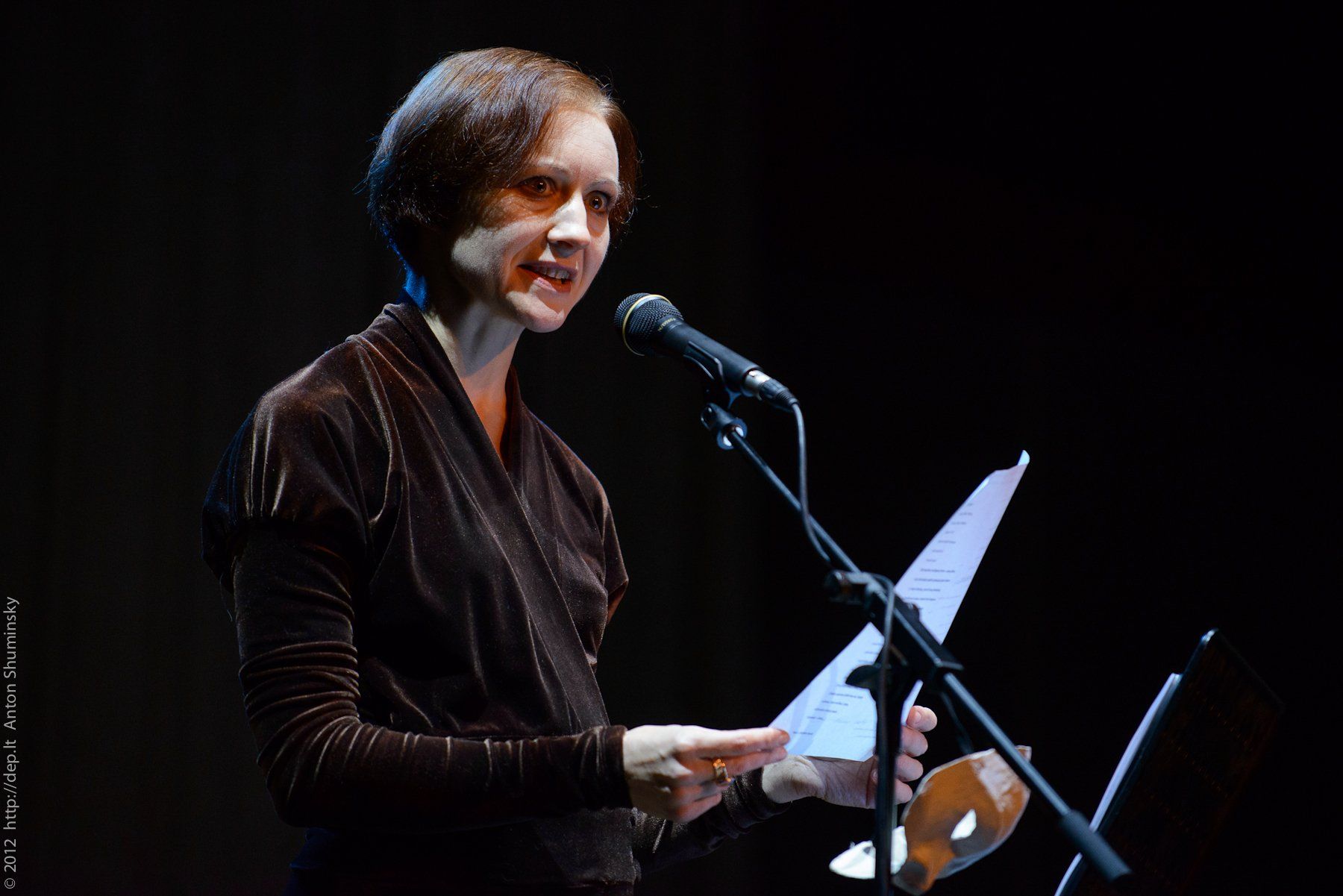 VII „Atspindys“, 2012 m.