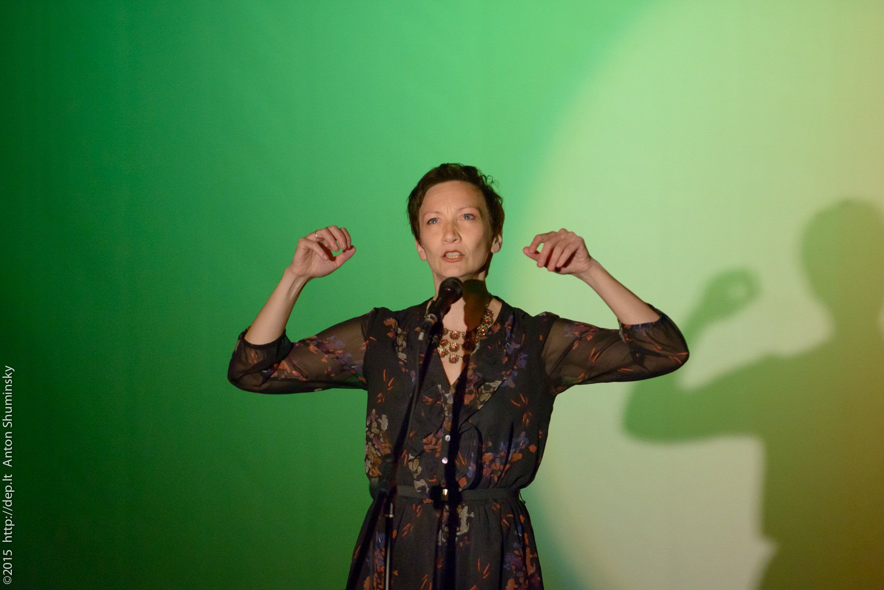 X „Atspindys“2015 m.