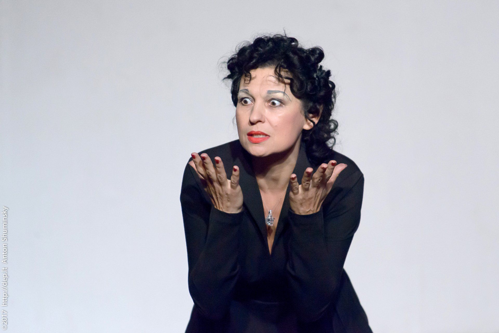 XII „Atspindys“ 2017 m.