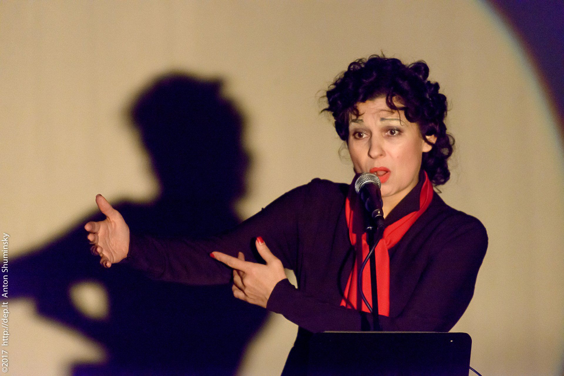 XII „Atspindys“ 2017 m.