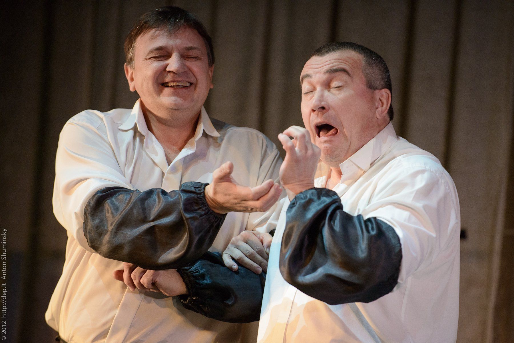 VII „Atspindys“, 2012 m.