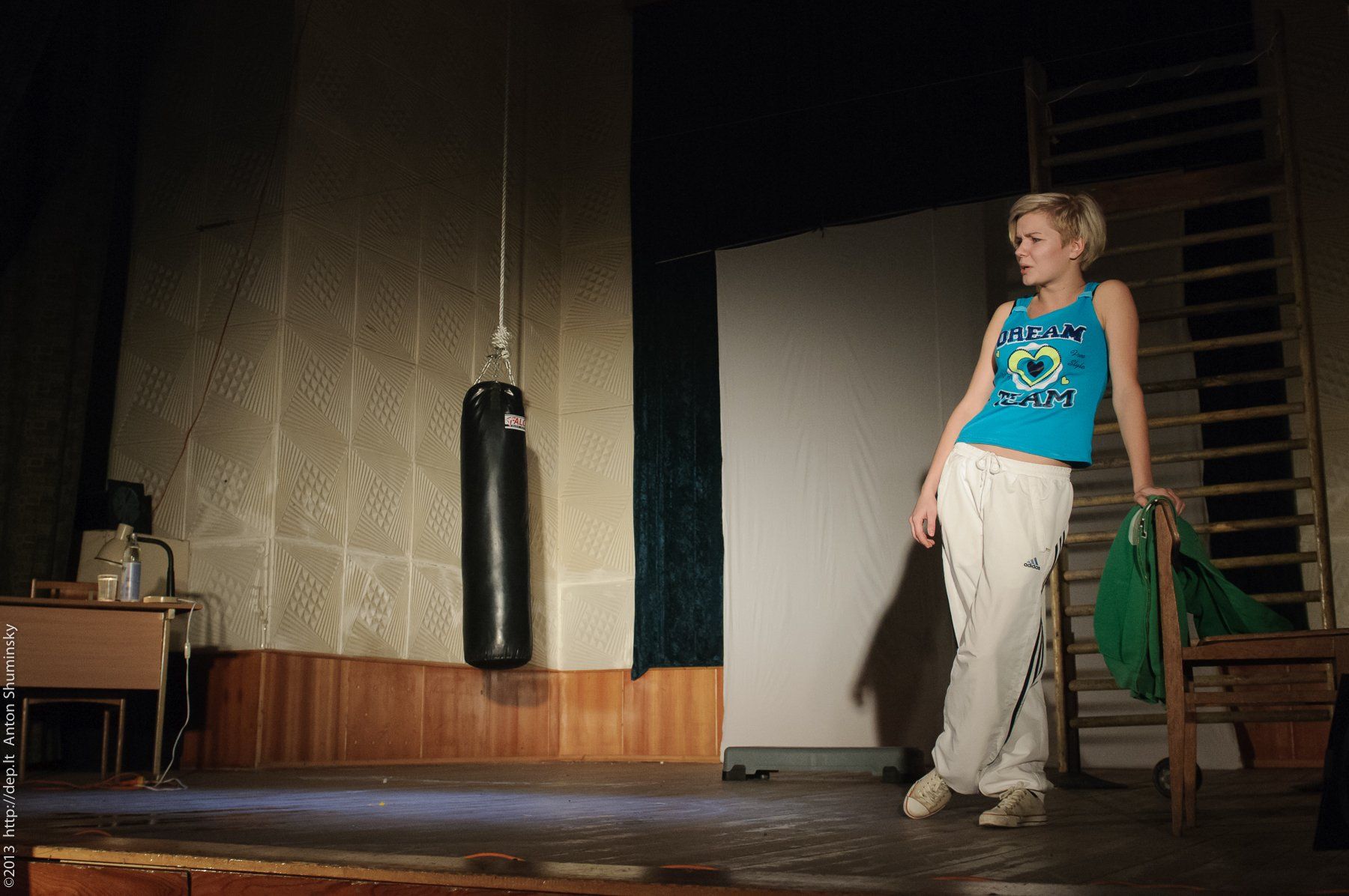 VIII „Atspindys“, 2013 m.