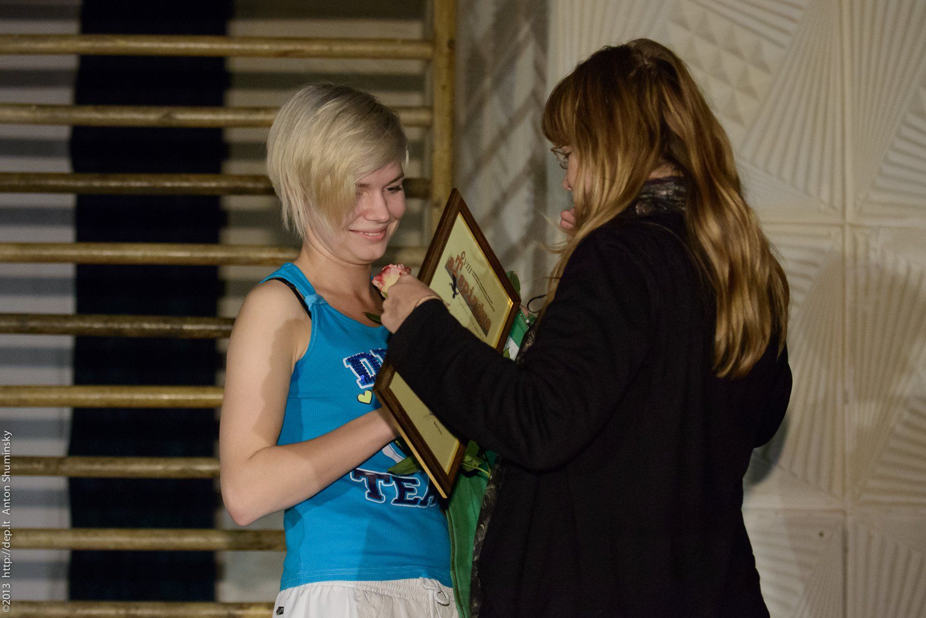 VIII „Atspindys“, 2013 m.