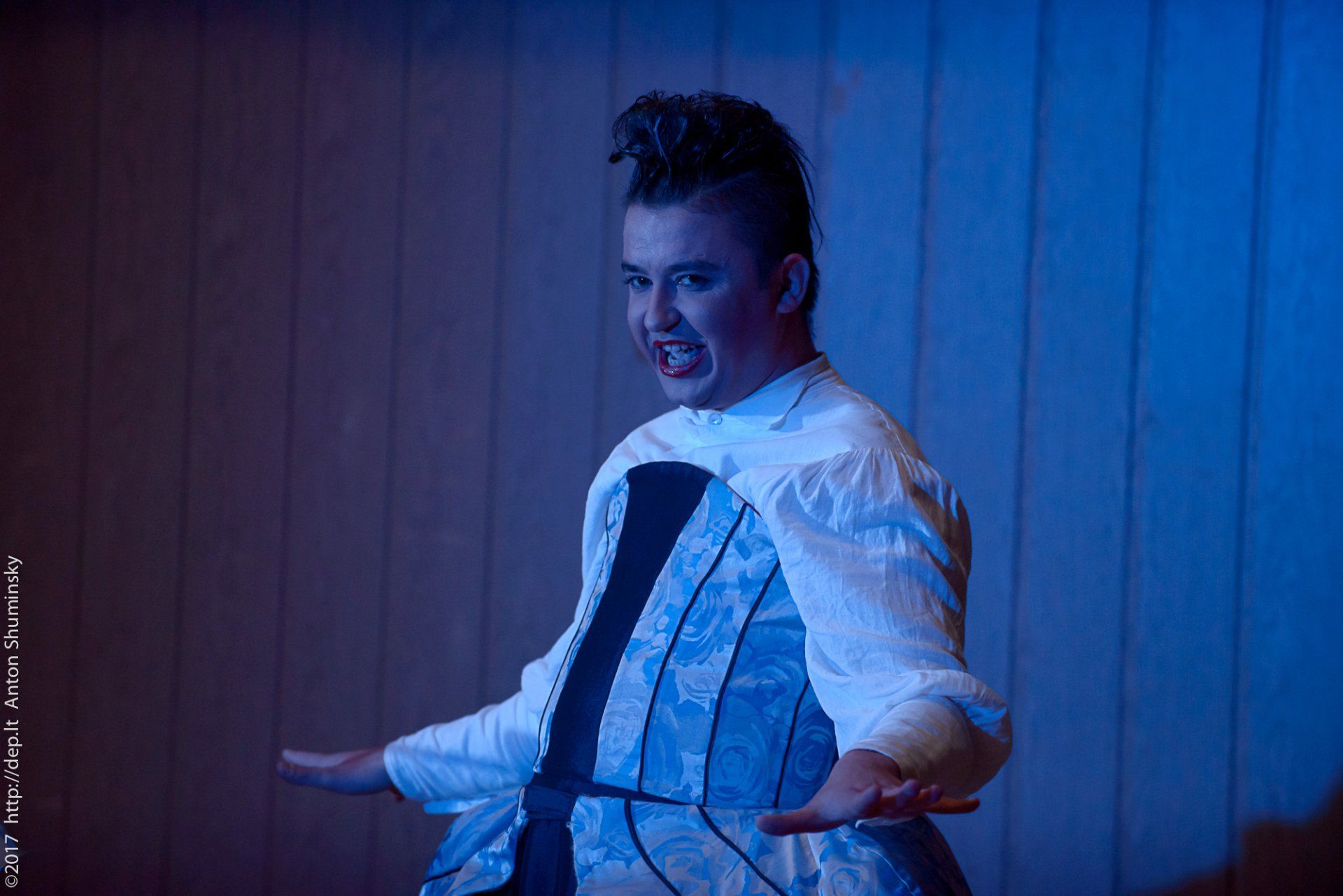 XII „Atspindys“ 2017 m.