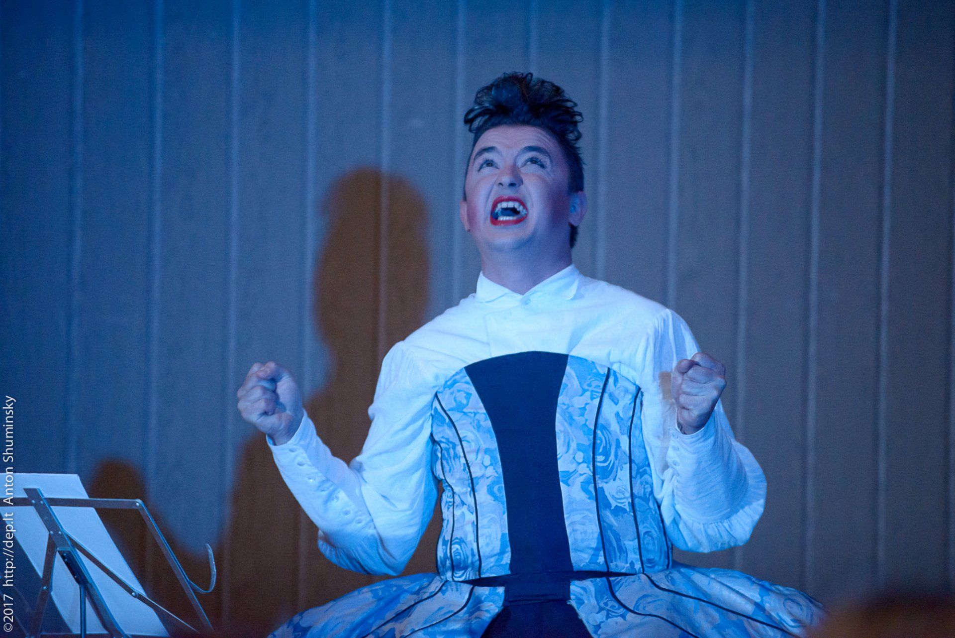 XII „Atspindys“ 2017 m.