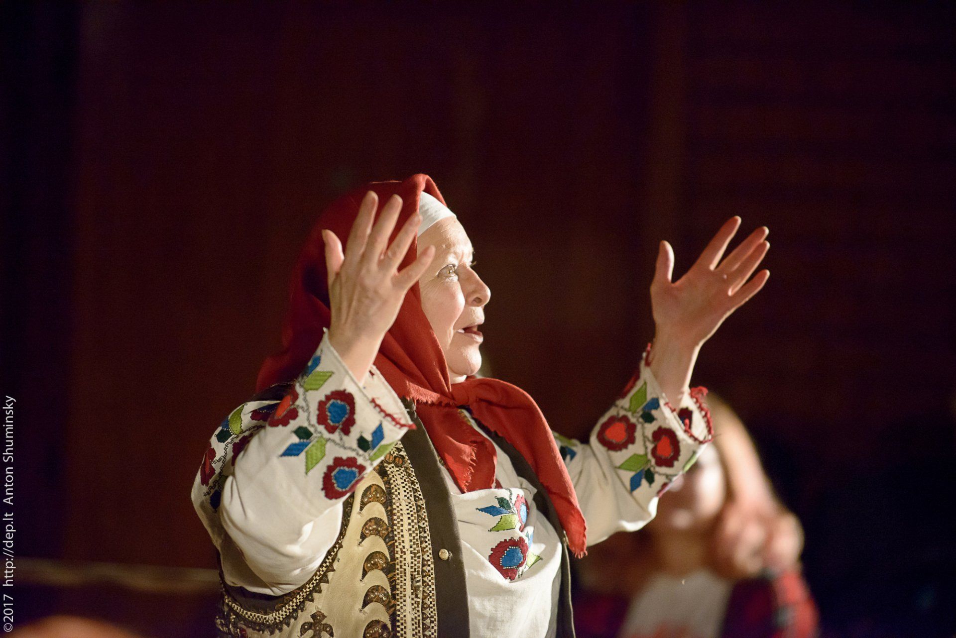 XII „Atspindys“ 2017 m.