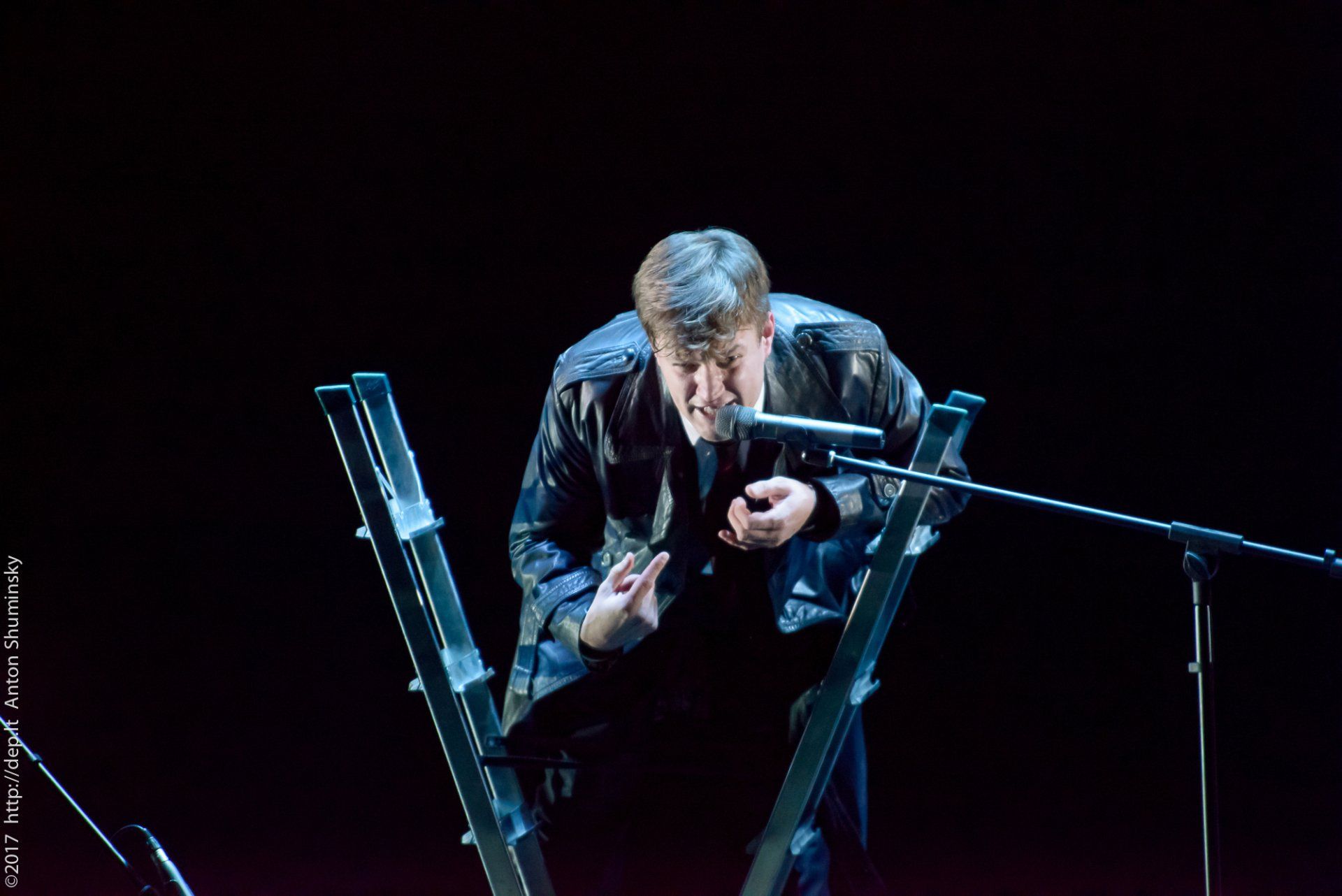 XII „Atspindys“ 2017 m.