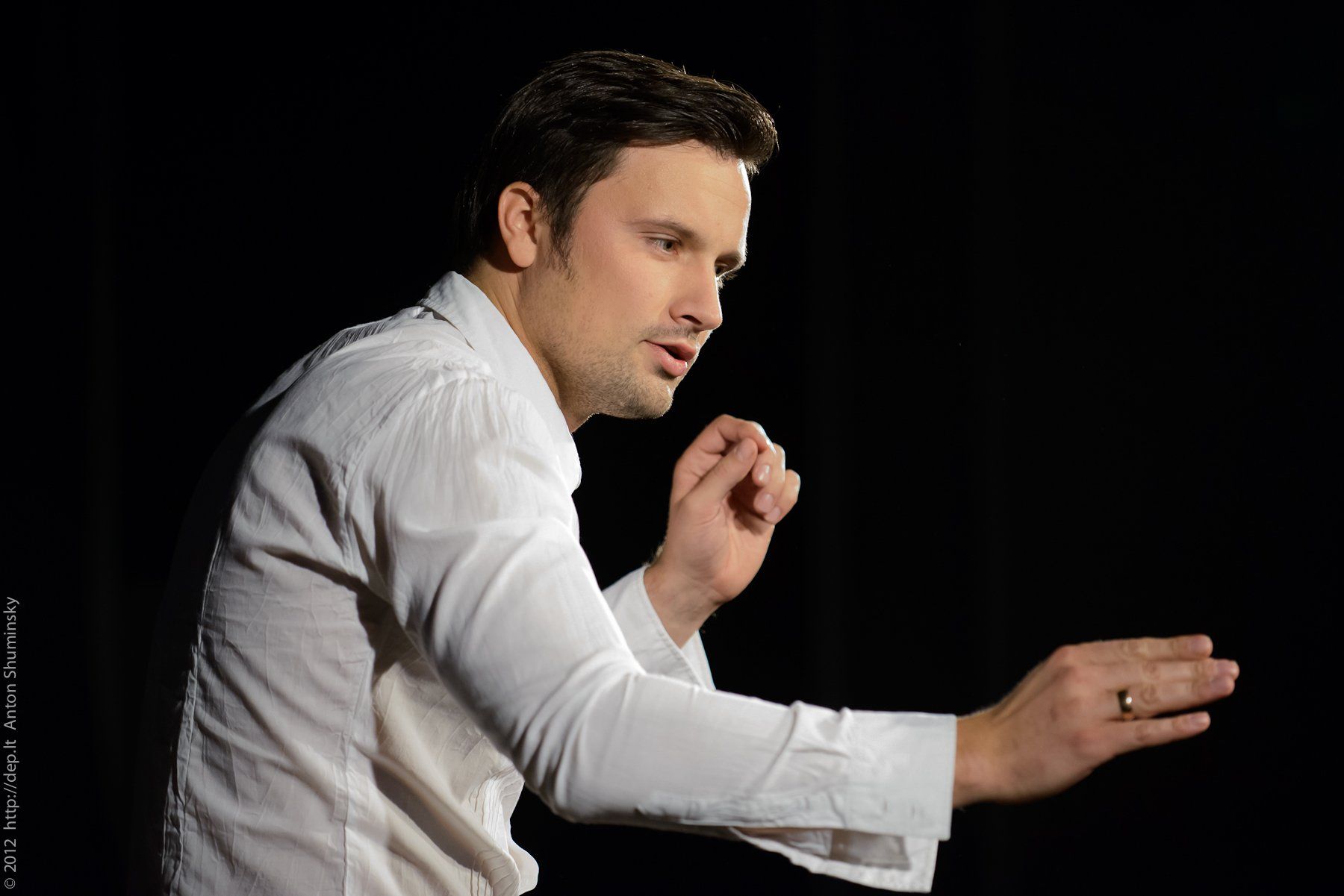 VII „Atspindys“, 2012 m.