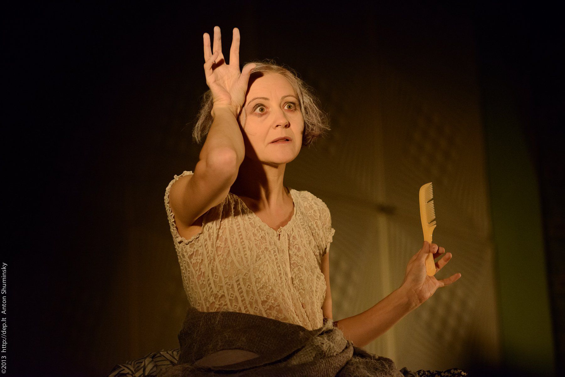 VIII „Atspindys“, 2013 m.