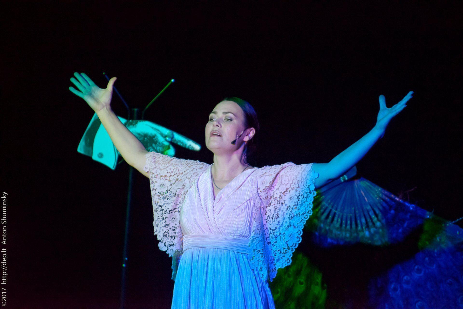 XII „Atspindys“ 2017 m.