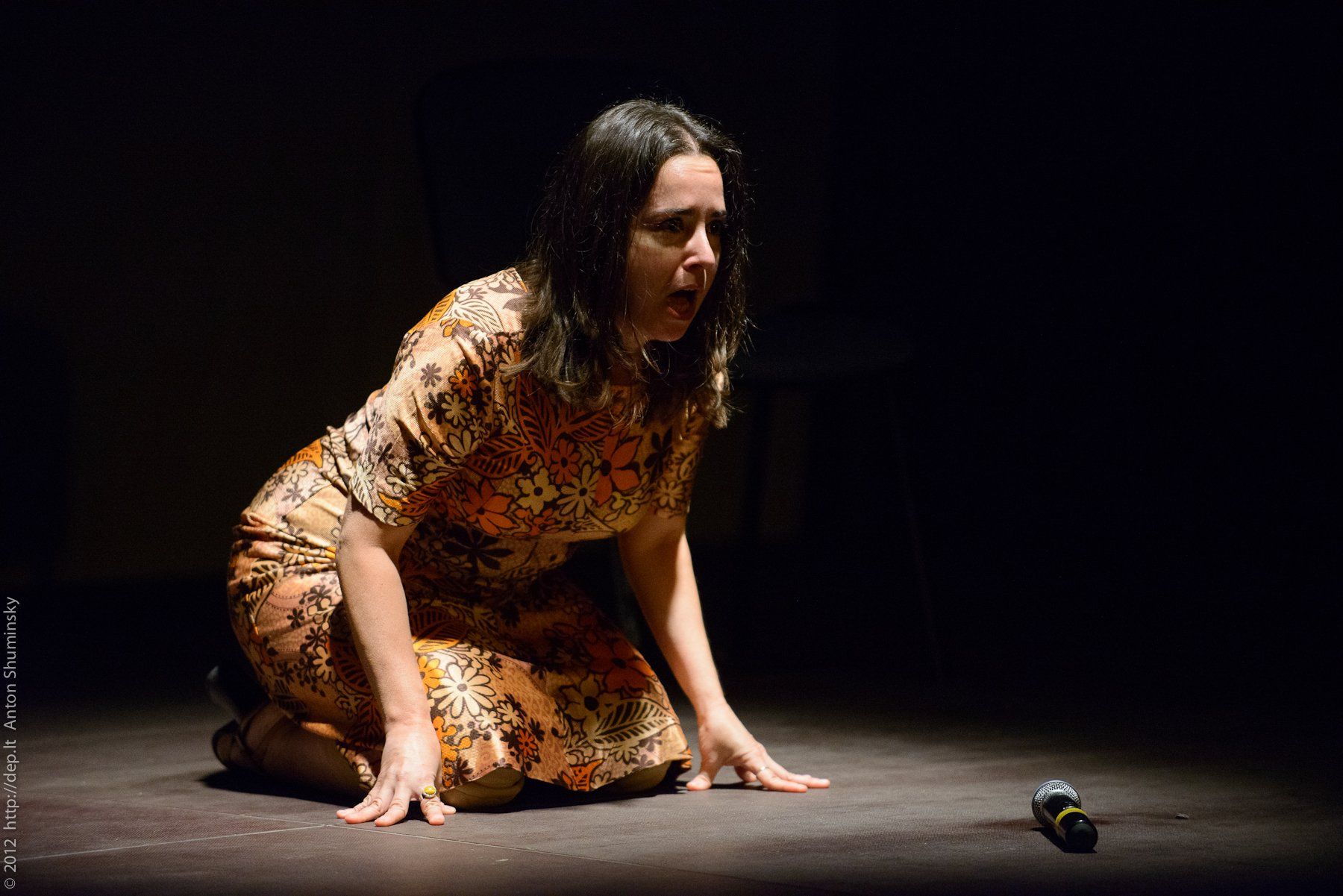 VII „Atspindys“, 2012 m.