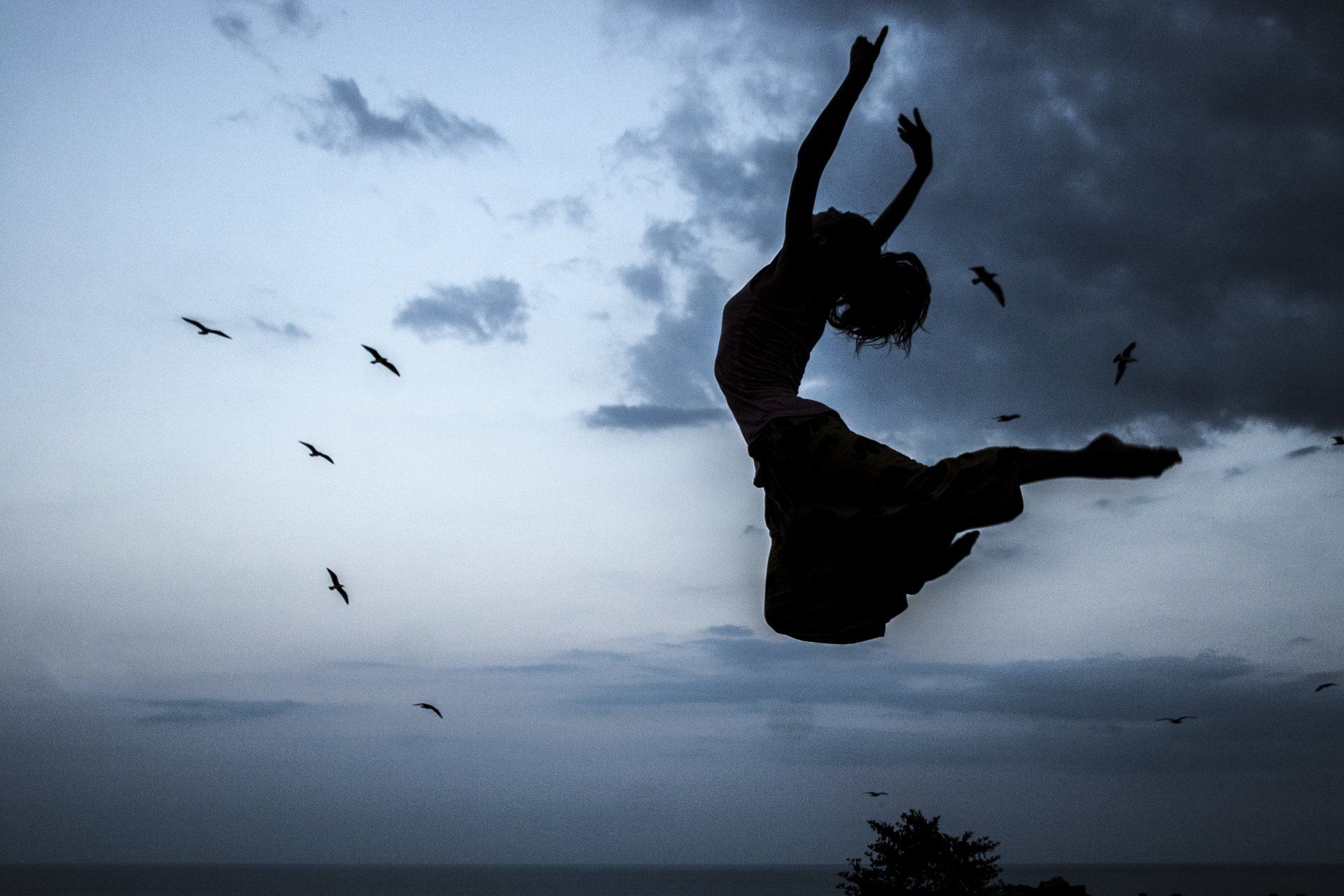 XI „Atspindys“ 2016 m.