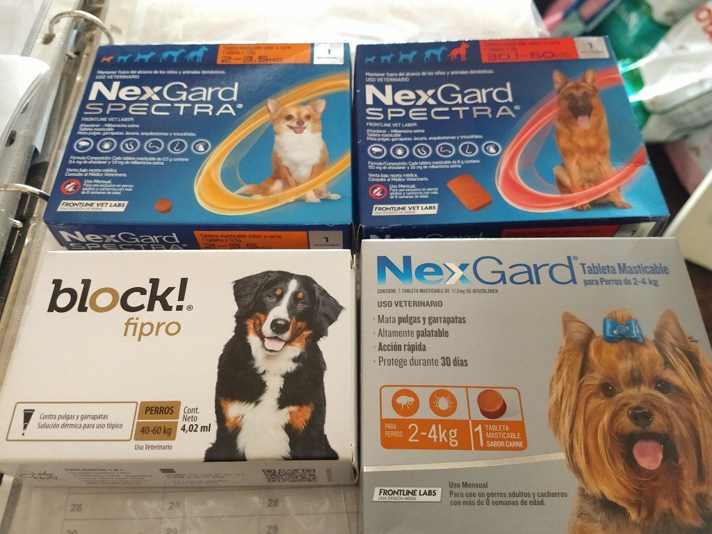 Servicios veterinarios