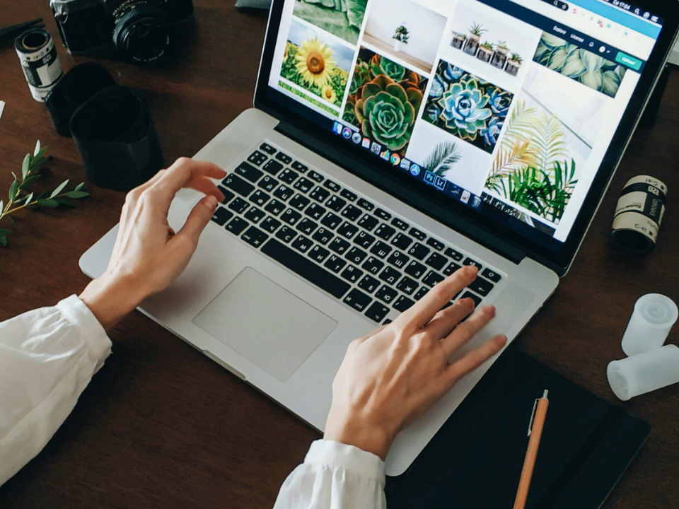 Person typing on a laptop displaying a grid of botanical and floral images on a wooden desk with a camera and pen.