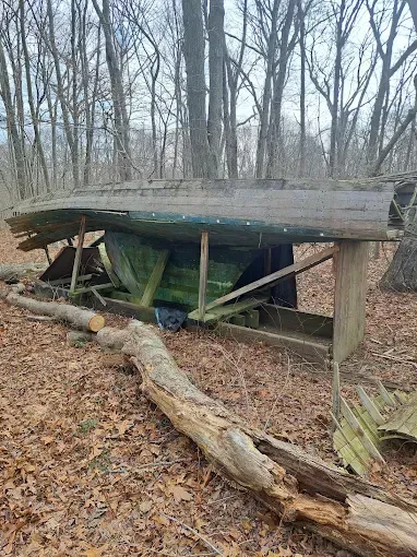 Dilapidated wooden boat on a wooden frame, in a forest.