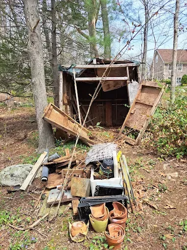 Dilapidated shed in a wooded backyard, with debris and scattered items. Brown and green tones, sunny day.