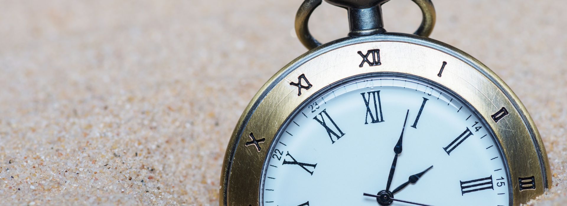 Your December quarter activity statement is due soon!