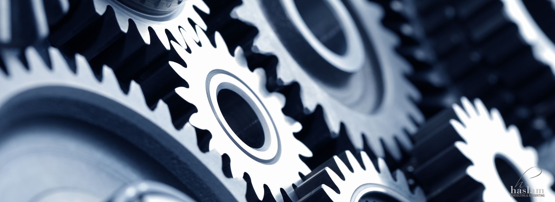 Understanding your revenue drivers | Haslam Consulting