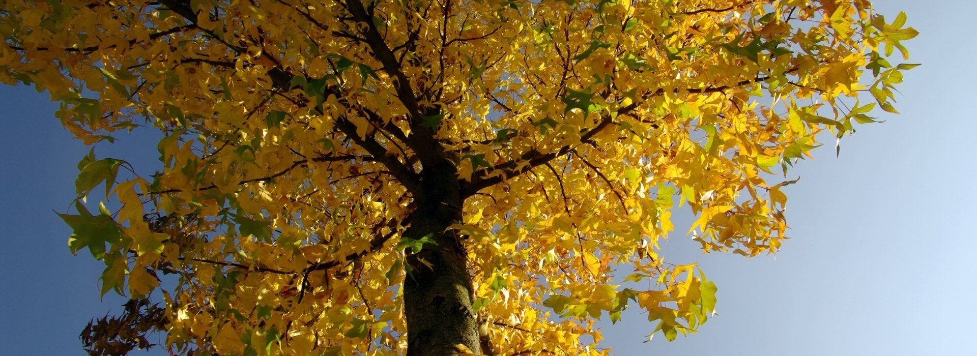 Planning for seasonal dips in