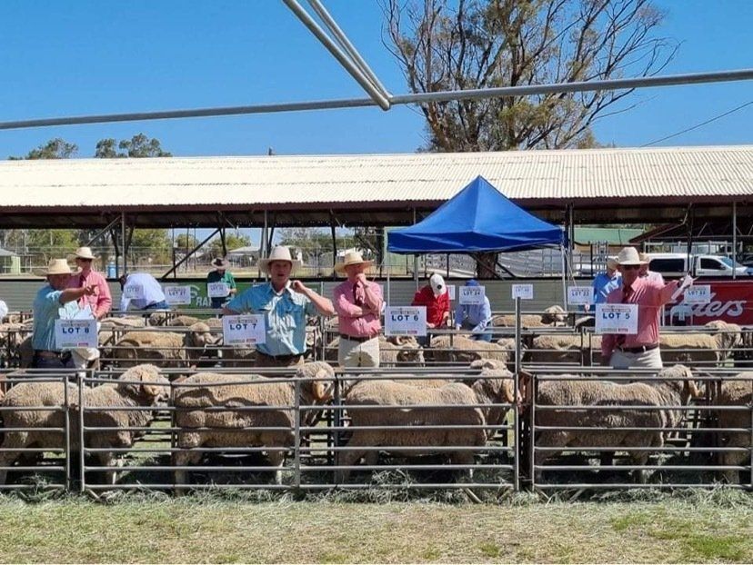 picture of 2021 ram auction