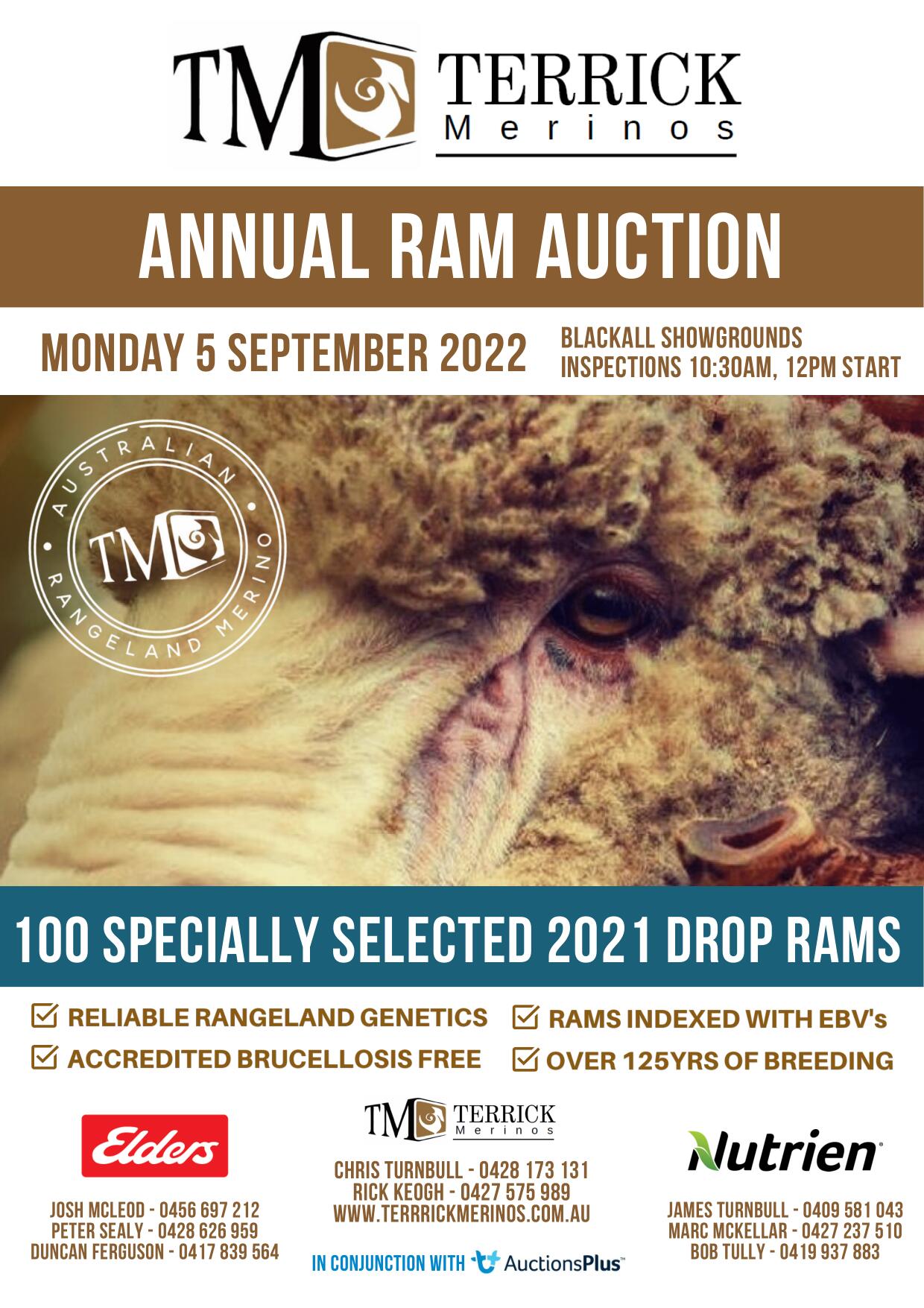 Terrick Merinos 2020 Ram Auction