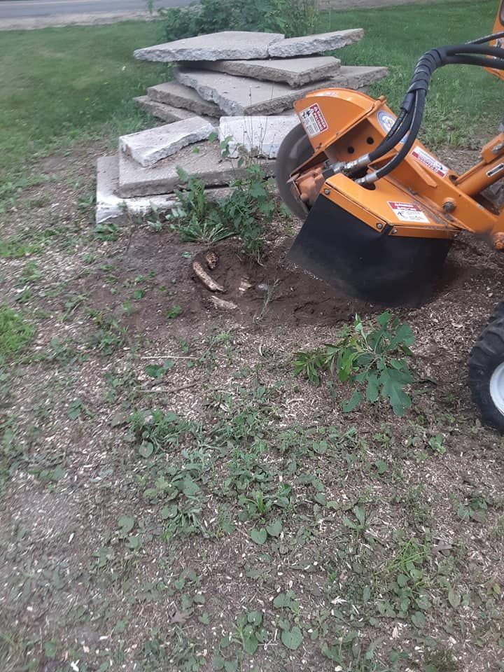 Stump grinder grinding a tree stump in a yard next to concrete slabs.