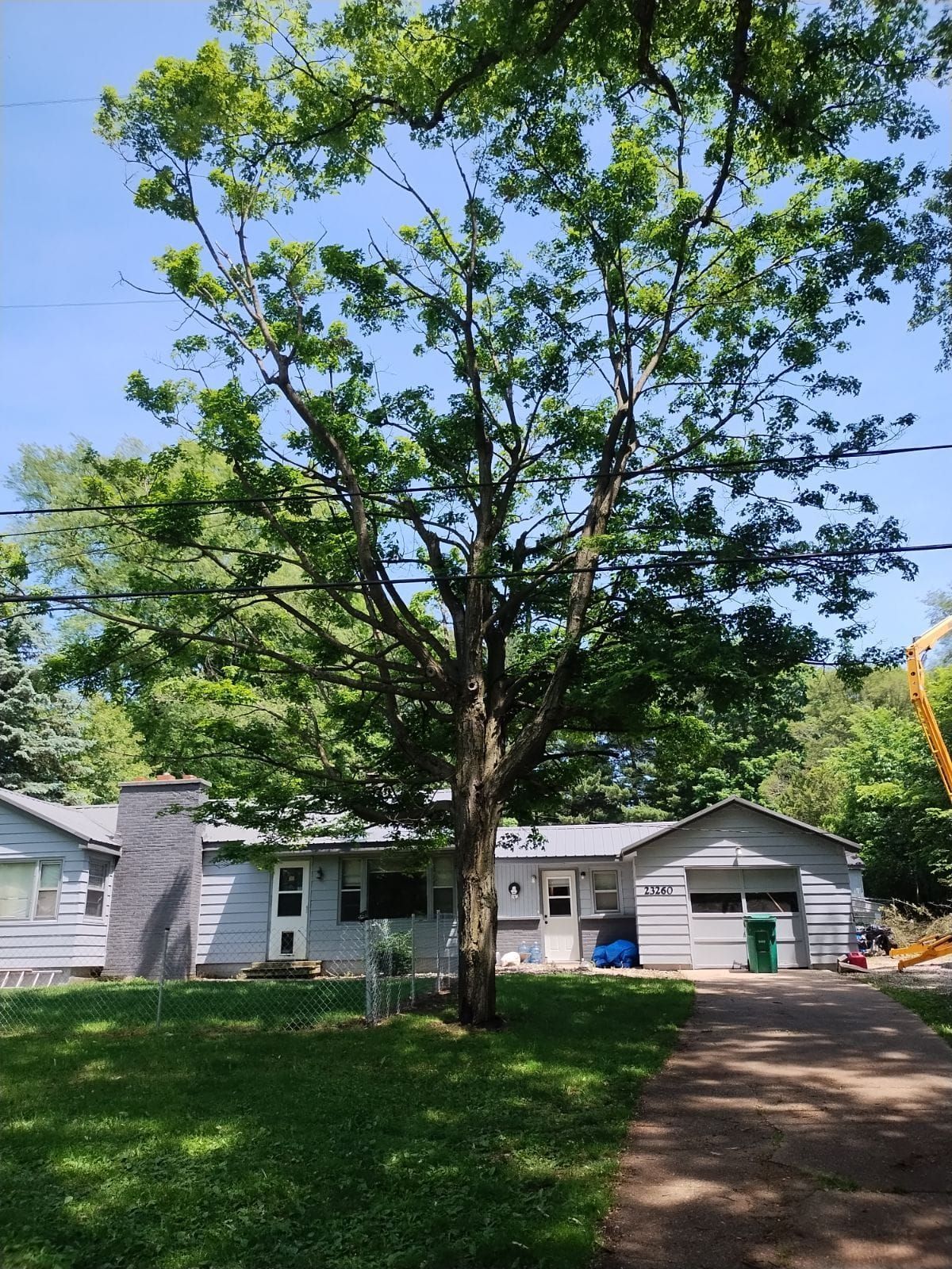 A gray ranch house with a large tree in front; blue sky, green grass.