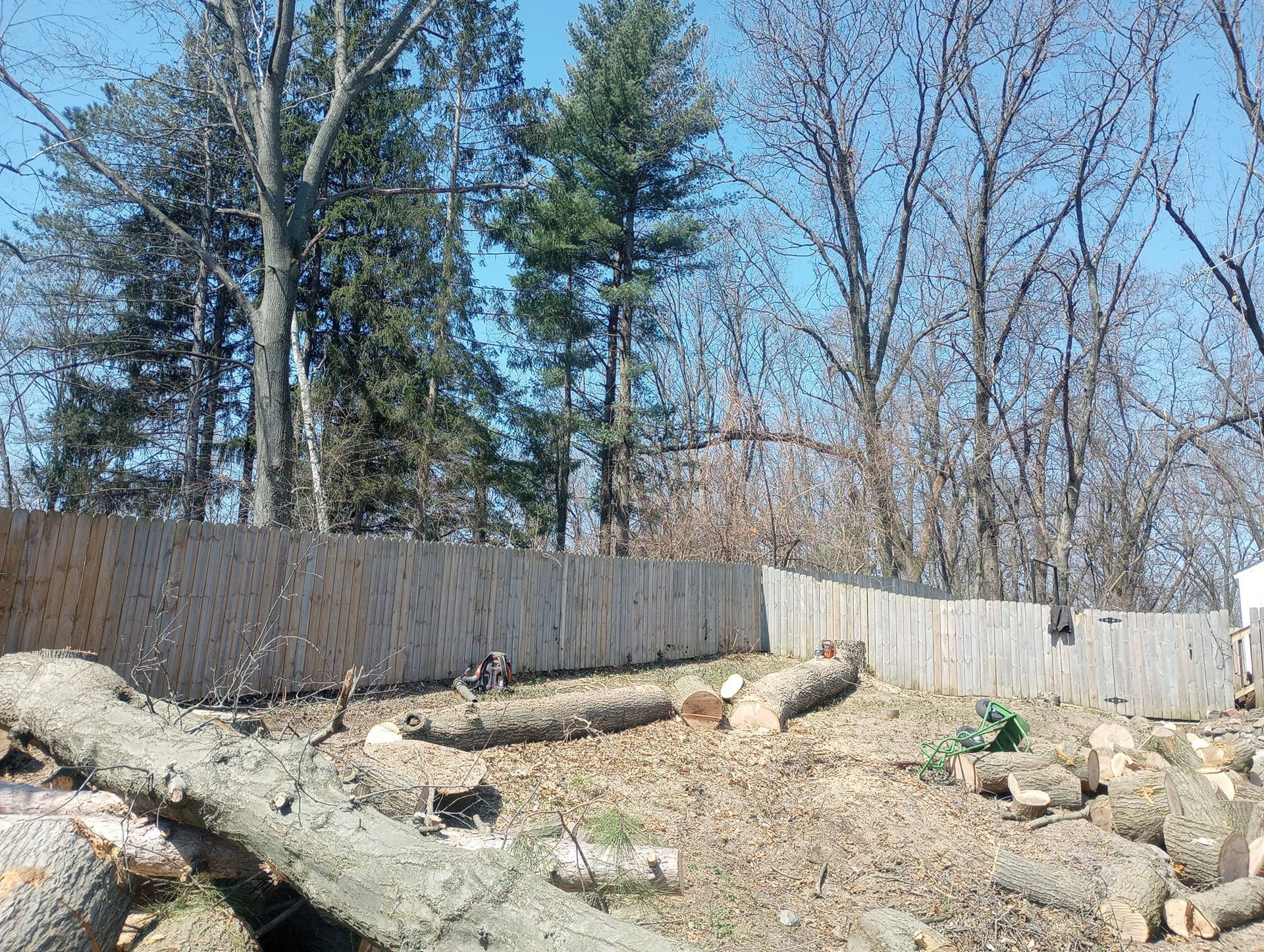 A wooden fence on a slight hill with cut logs in front and bare trees in the background under a blue sky.