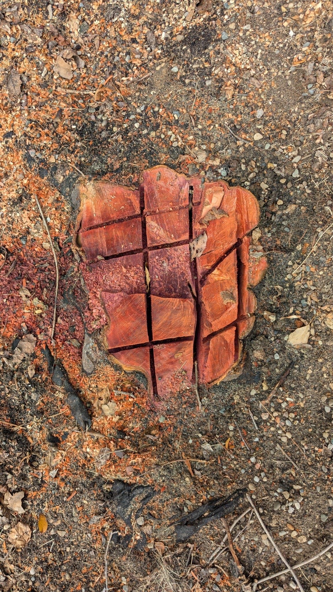 A red brick cut into squares on a speckled gray and brown surface.