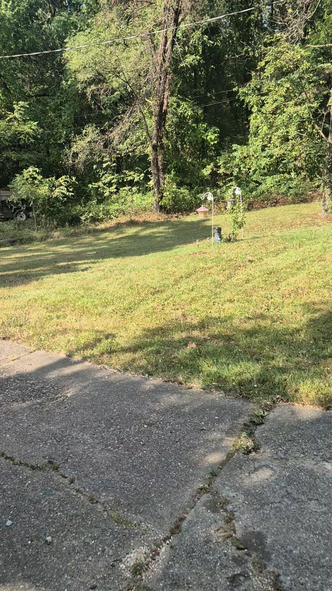 Grass field with trees in the background, cracked asphalt in foreground, and a few objects in the field.