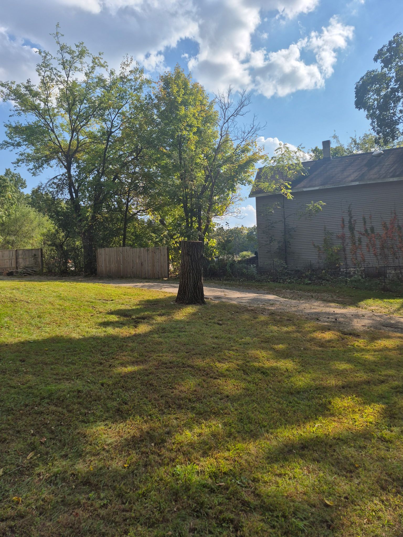 Grassy yard with a tree in the center, a wooden fence on the left, and a building on the right under a blue sky.
