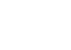 BOSS Plow Repair & Service