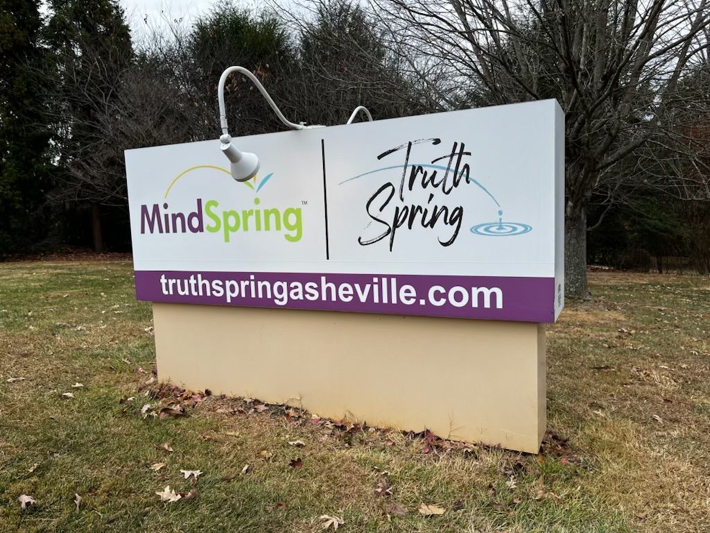 Sign for MindSpring and Truth Spring with a website address, against a backdrop of bare trees and grass. The sign is white, with purple and green accents.