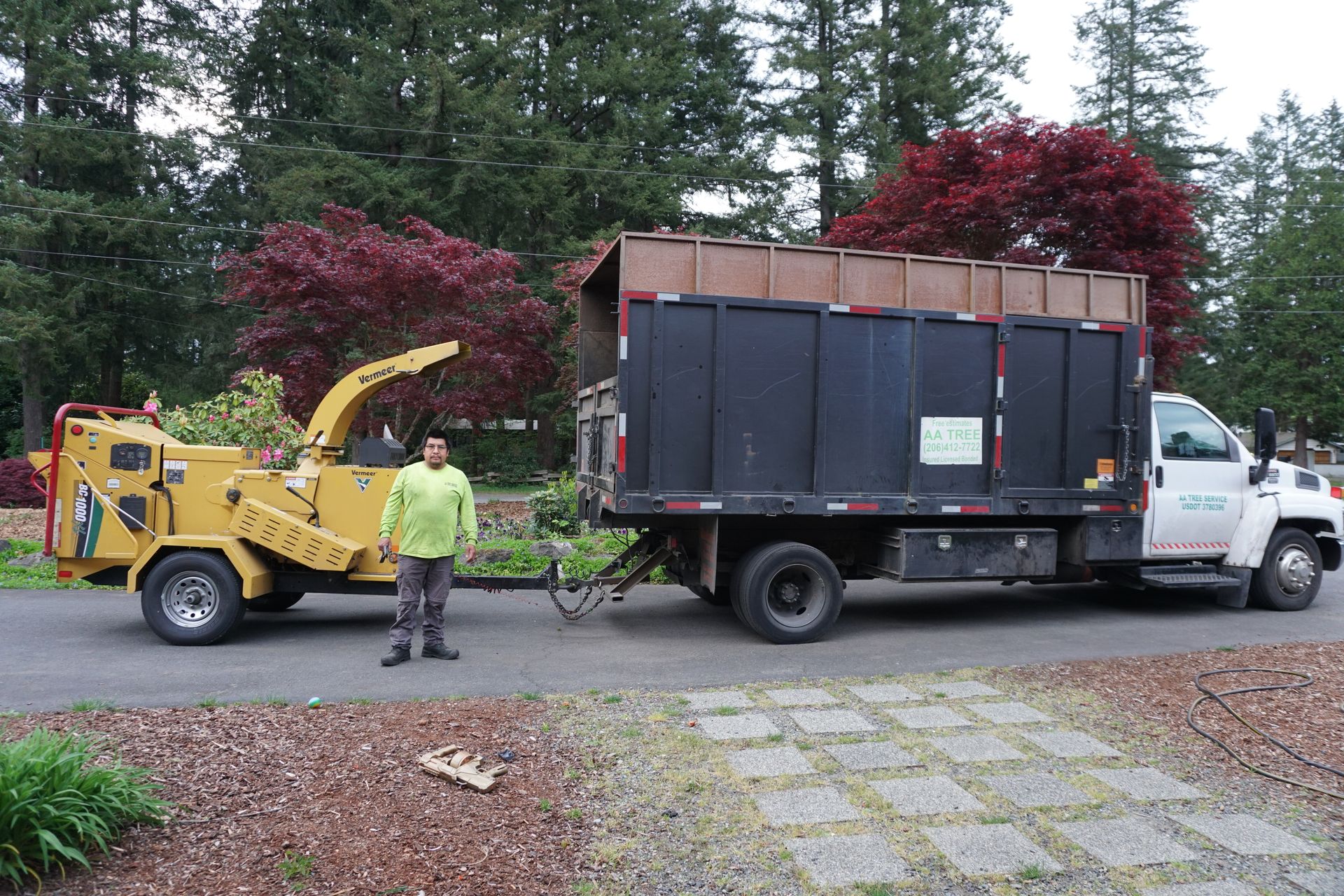 tree service company in Kent