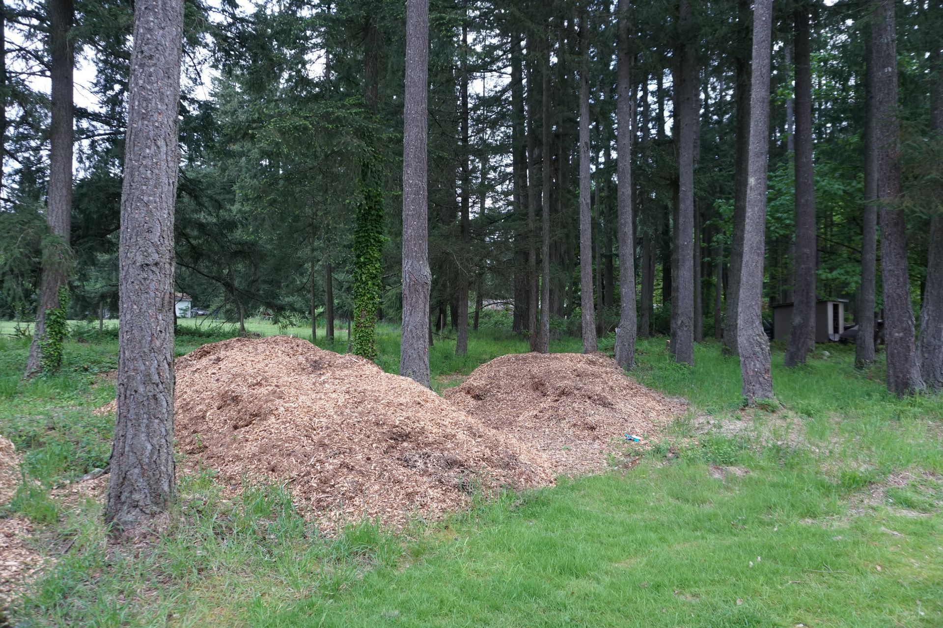 wood chips