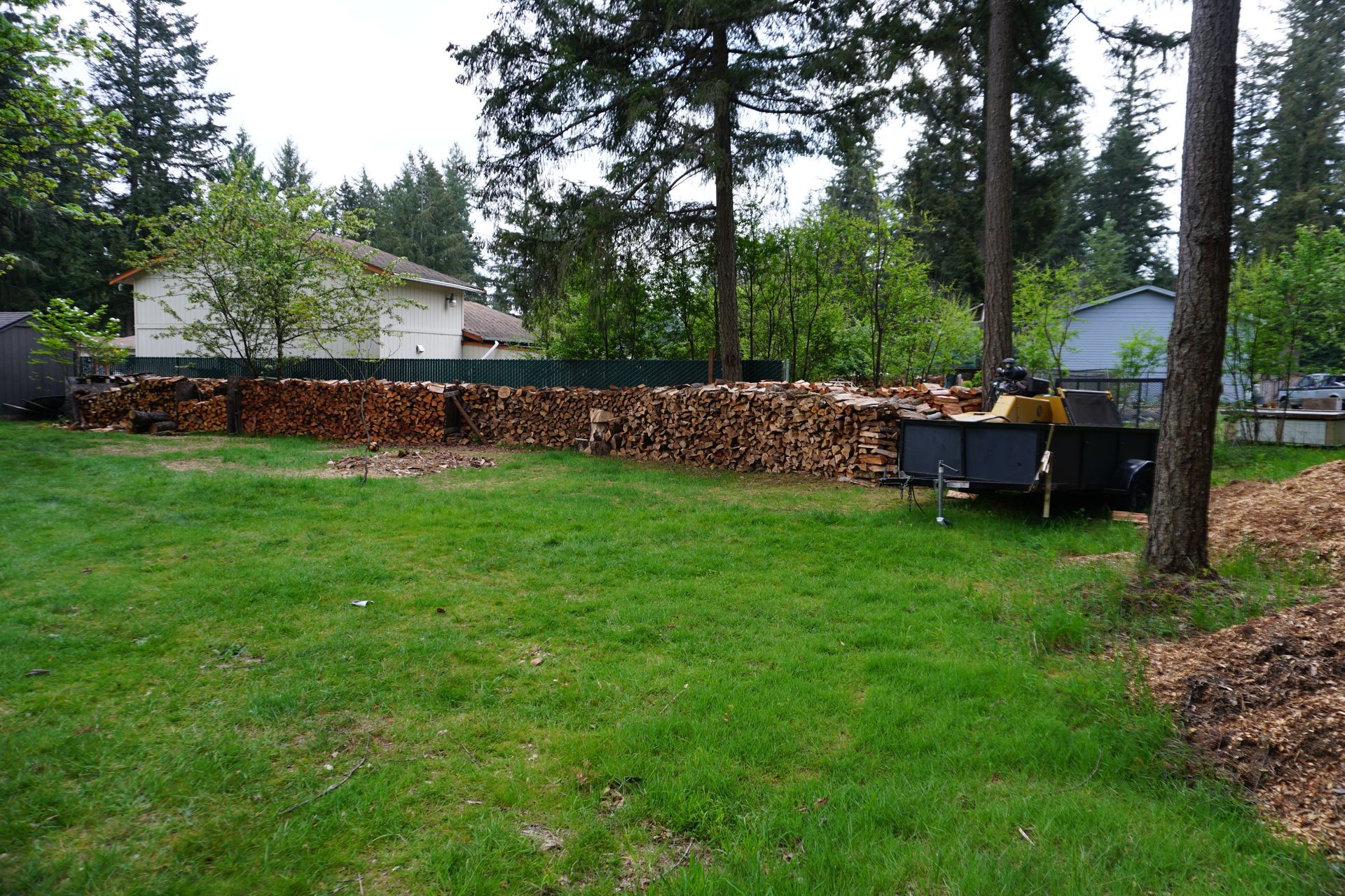 firewood from tree removal