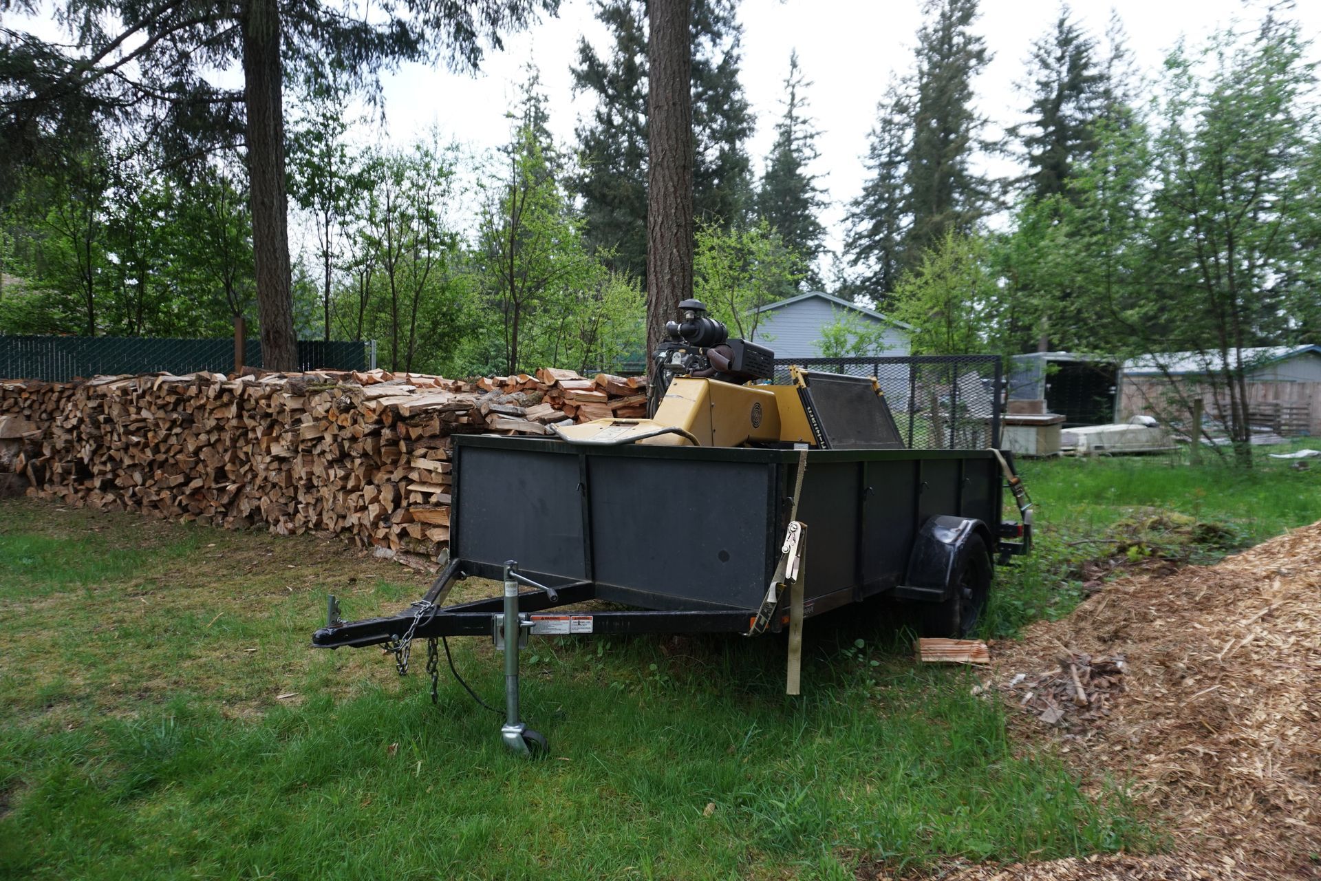 tree service cleanup