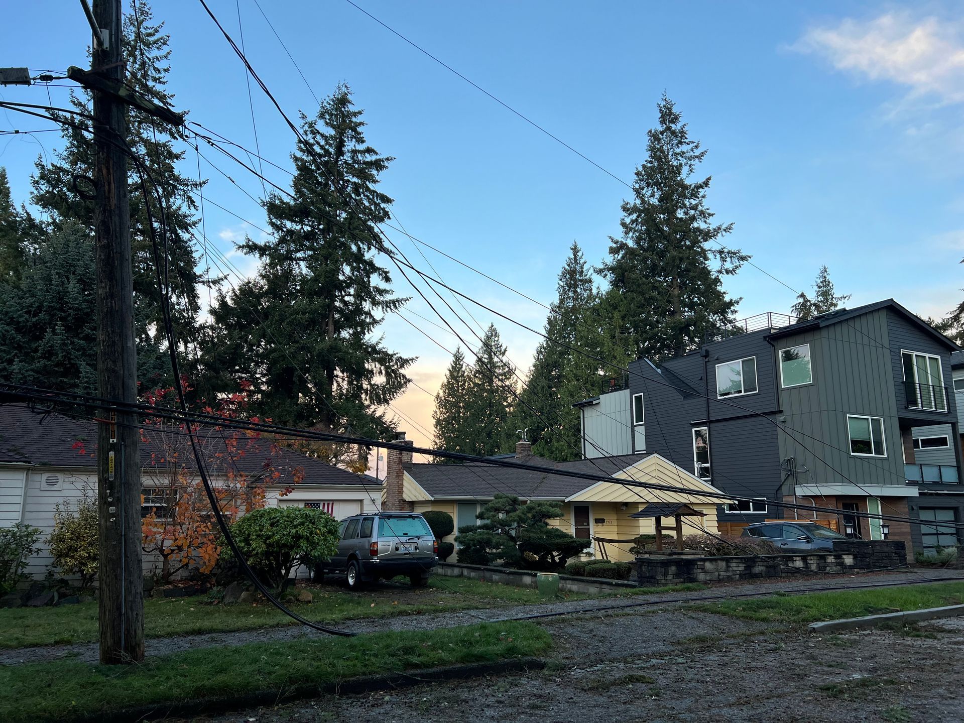 Power line clearing in South King County