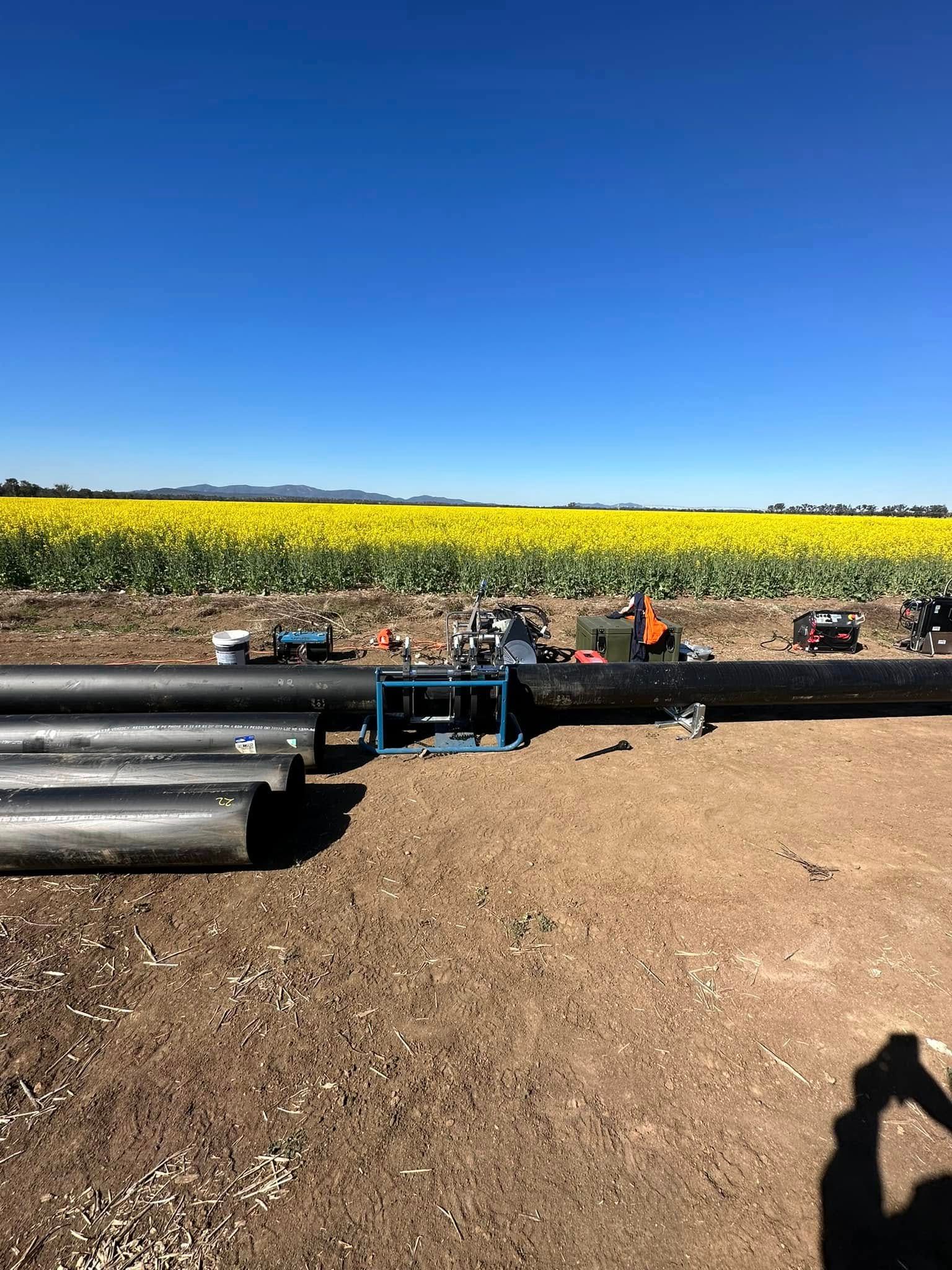 Pipeline materials on dirt ground beside a yellow flower field under a clear blue sky. Pipeline materials on dirt ground beside a yellow flower field under a clear blue sky.