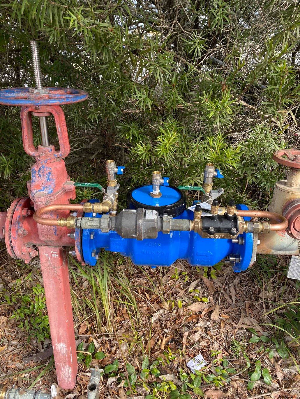 Blue and red water valve assembly outdoors beside dense greenery and leaves