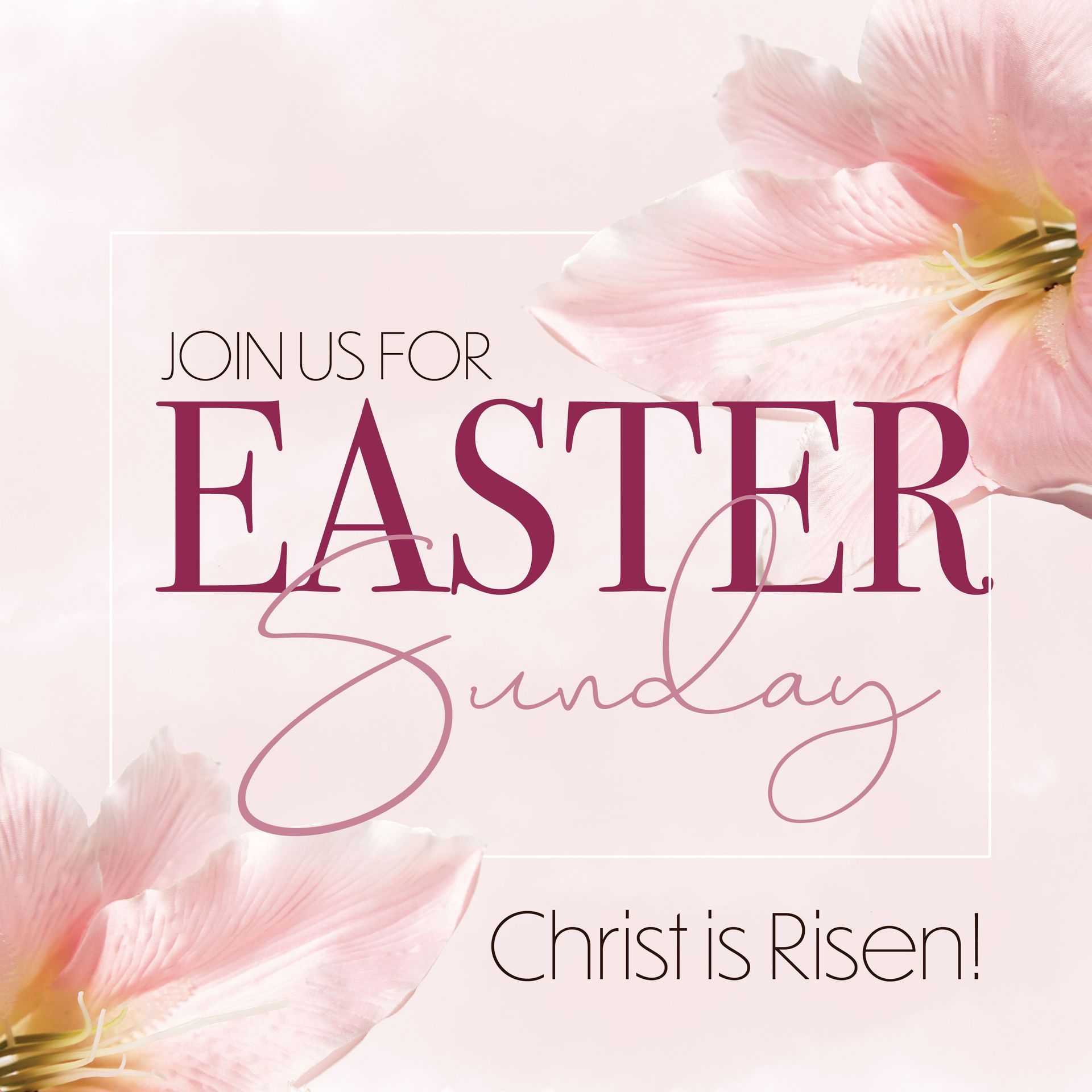 Wednesday Night Connections