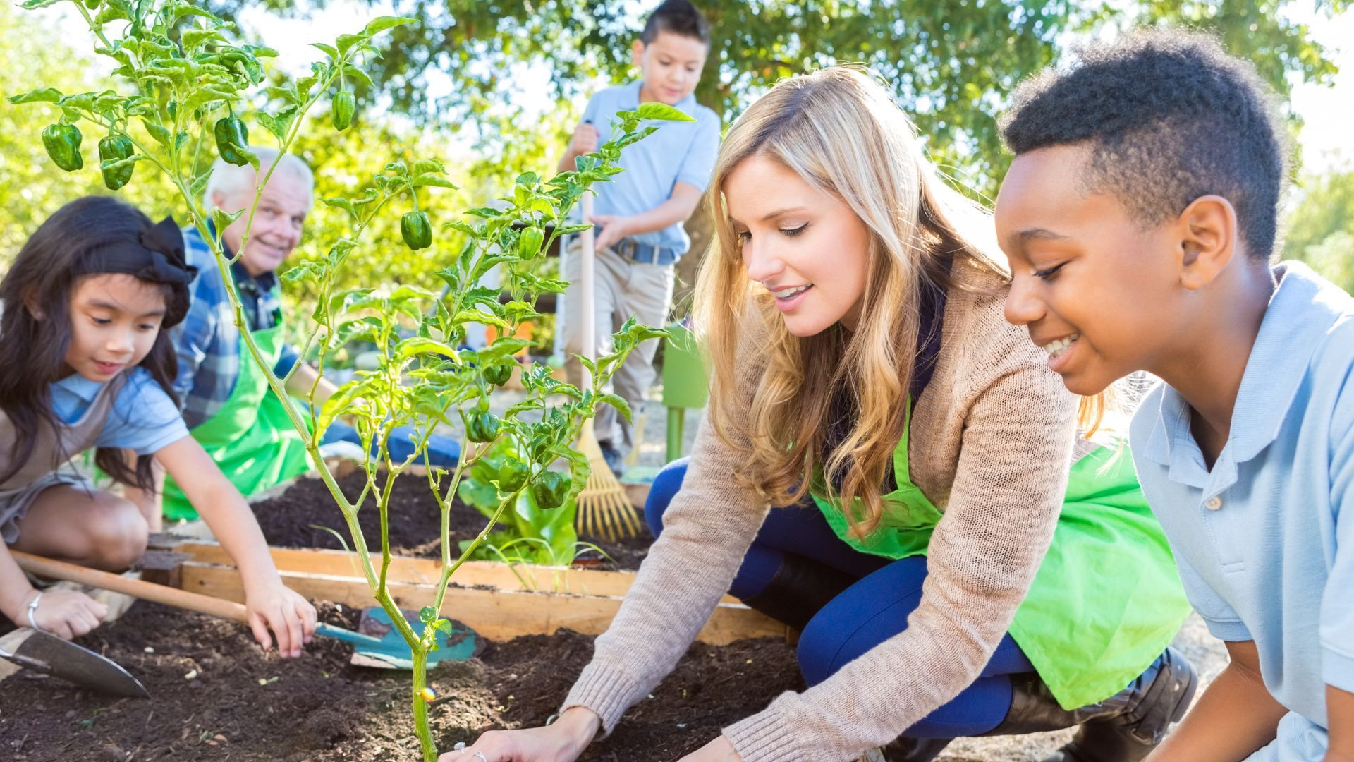 A woman is helping a group of children plant a tree in a garden.