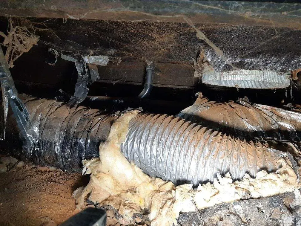 A hose is laying on the ground in a basement.