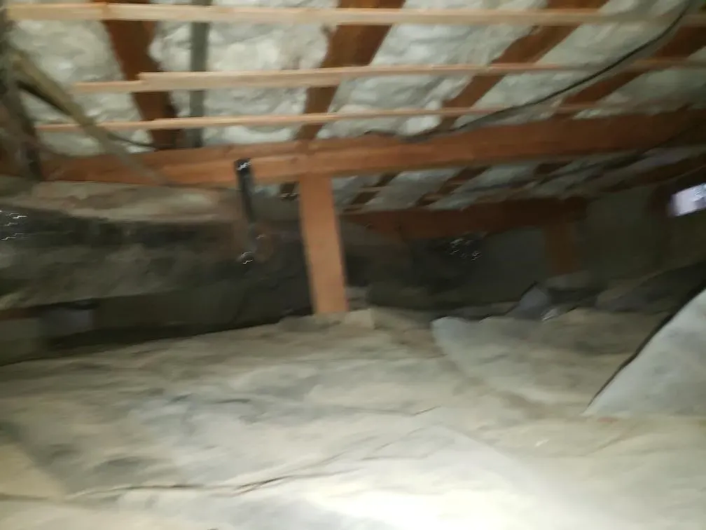 A room with a lot of foam insulation on the ceiling.