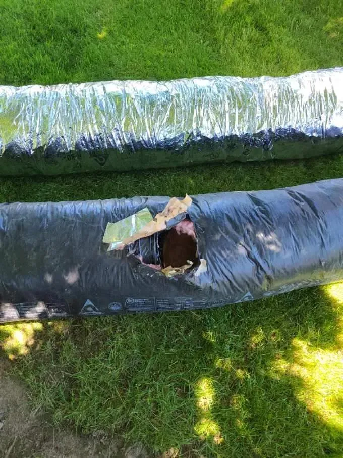 A hose with a hole in it is sitting on top of a lush green field.