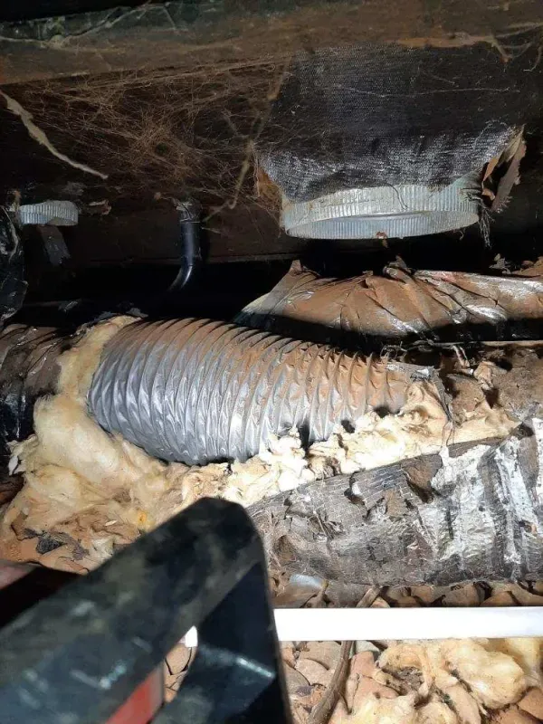 A hose is laying on the ground under a wooden beam.