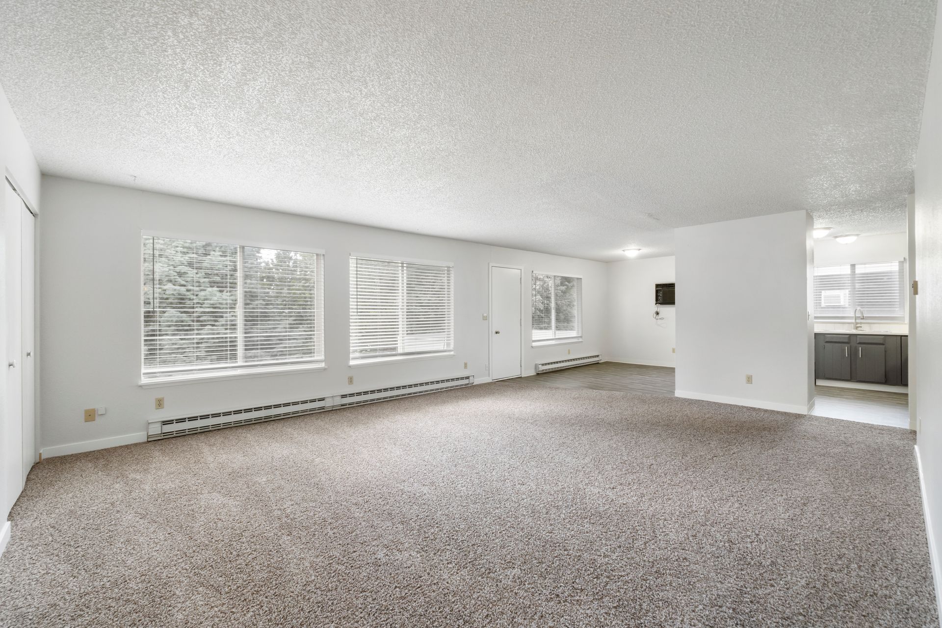An empty living room with a lot of windows and carpet.