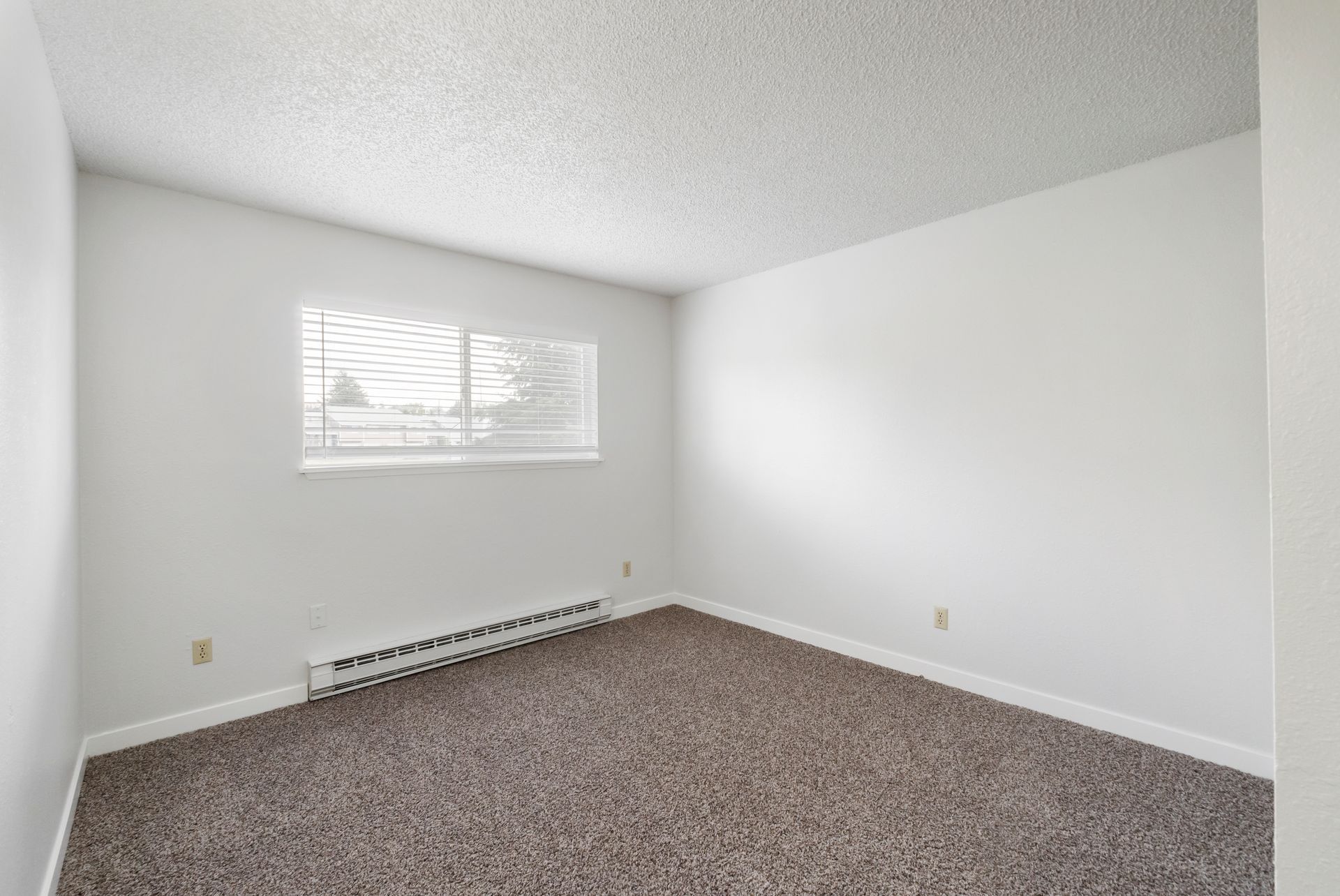 An empty bedroom with a window and a carpeted floor.