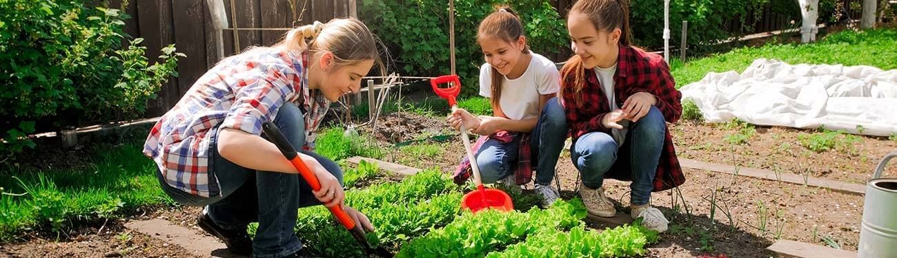 A group of people are working in a garden.